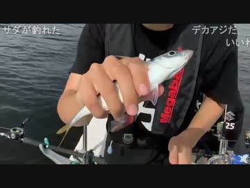 旅部46 旅部46 東京湾船釣り4 旅行 アウトドア 動画 ニコニコ動画