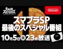 【日本人の反応】最後のスペシャル番組を見たぞ！【スマブラSP】