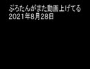 ぷろたんがまた動画上げてる　２０２１年８月２８日