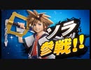 【スマブラSP】ソラのつかいかたを見守る