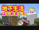 【マイクラ】#2 とにかく生き抜くために【いまくら】