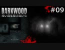 #09【Darkwood】暗い森を駆け抜けろ｜拠点を修理だ！【実況】