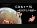 迫真RIM部～動物調教の裏技～,mp0[rimworld]