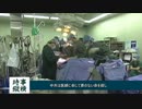 中国の高官の長寿の秘密
