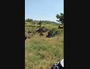 イスラム国・東アジア州の戦闘映像 in フィリピン