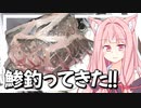 船で大量の鯵が釣れたから刺身にしてみる！【VOICEROIDキッチン＋生声】