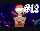 [ポケットモンスター ソード]新作の発売を前にしてゆるっと実況#12
