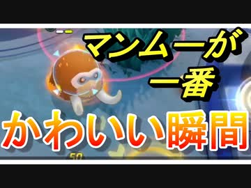 ポケモンユナイト実況 無課金マスターの成長記録 12 マンムーが一番かわいい瞬間 ニコニコ動画