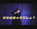 【きりり】だから言ったでしょ？　踊ってみた【定点】