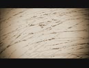 【動画素材】灰色ノイズ・セピアノイズ【サンプルムービー】