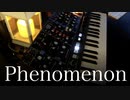 Phenomenon / モデ