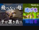 0910B【カルガモ親子 母の悲劇】飛べずに子が置き去り、換羽。逃げ水スズメの稲泥棒。真夏日の野鳥たち。カワセミ、アオサギ、コサギ、ハクセキレイなど。　#身近な生き物語　#カルガモ親子　#スズメ