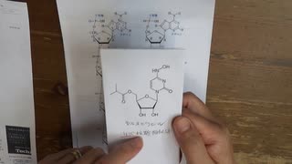 コロナ経口新薬モルヌピラビルの概要