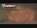 広大な世界での復讐と創世の物語【Xenoblade実況】#30