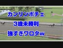 【競馬予想tv】カンリンポチェ 強すぎワロタw 3歳未勝利2021【武豊tv】新潟記念 毎日王冠 シンティレーション グレートエクウスマーチ すぎやまこういち