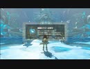ミファーと再会。そして敵討ち。　Part13【ゼルダの伝説BotW】