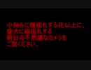 ２０２１年１０月７日　震度４で盛大に揺れるテレビ朝日のカメラ