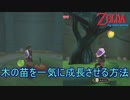 木の苗を即座に成長させる方法　ゼルダの伝説スカイウォードソードHD実況プレイPart38