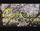 夜間診療所に行ってきた