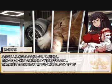 【卓m@s／ゆっくりTRPG】邪眼姫411話／堕竜列島ドラゴンレイド２４話【SW2.5】