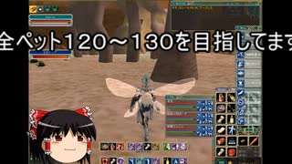 【MoE】ゆっくり実況【ギガス共闘part４】ペットレベル１００近くになったらやりたいこと　歩き初級バインダーについての話