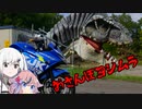 おさんぽヨシムラ