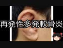 【ゆっくり朗読】ゆっくりさんと不思議な病気 その425