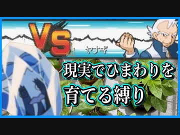 【実況】ヒマナッツが瀕死になったら「現実でひまわりを育てる」縛り（Part⑭）