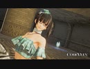 【CODEVEIN】白い血の聖堂ツアーガイド　短縮ルート(血英無)