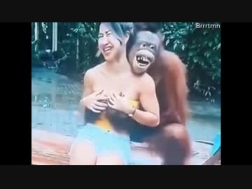 世界の衝撃的映像集Part16