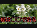 【切り抜き】癌は〇〇で治る