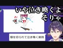 リスナー参加型のいつものパターン【剣持刀也】【切り抜き】
