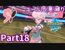 ポケモン剣ではエール団(悪)のポケモン縛りでやっていくPart18