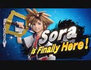 【SSBU】英語版スマブラ参戦映像まとめ⑤（ミェンミェン～ソラ）