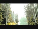 Colored forest