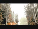 Colored forest