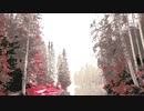 Colored forest