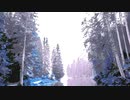 Colored forest