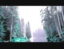 Colored forest