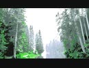 Colored forest