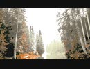 Colored forest