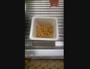 【＃1分クッキング】納豆ラーメン【＃飯テロ ＃料理 ＃ラーメン】