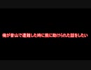 【2ch面白スレ】奇妙な体験？山で遭難した時に熊に助けられた話【ゆっくり解説】