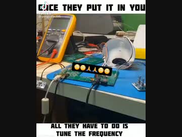 酸化グラフェンが電磁波の影響で動き回る映像