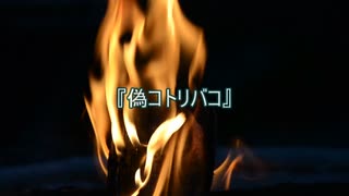 【作業用朗読】偽コトリバコ【洒落怖】