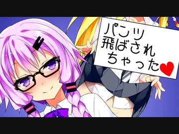 ゆかり「空飛ぶパンツ、いわゆるフライングパンツですね」【VOICEROID劇場】