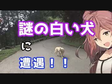 【バイク】秩父の正丸峠に行ってみよう！ささらん車載でpart35【パスタもあるよ】