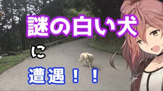 【バイク】秩父の正丸峠に行ってみよう！ささらん車載でpart35【パスタもあるよ】