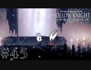 虫嫌いが行く昆虫王国冒険譚 #45【Hollow Knight】