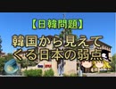 【ゆっくり解説】韓国から見えてくる日本の弱点